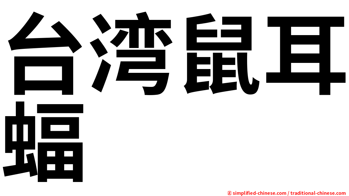 台湾鼠耳蝠