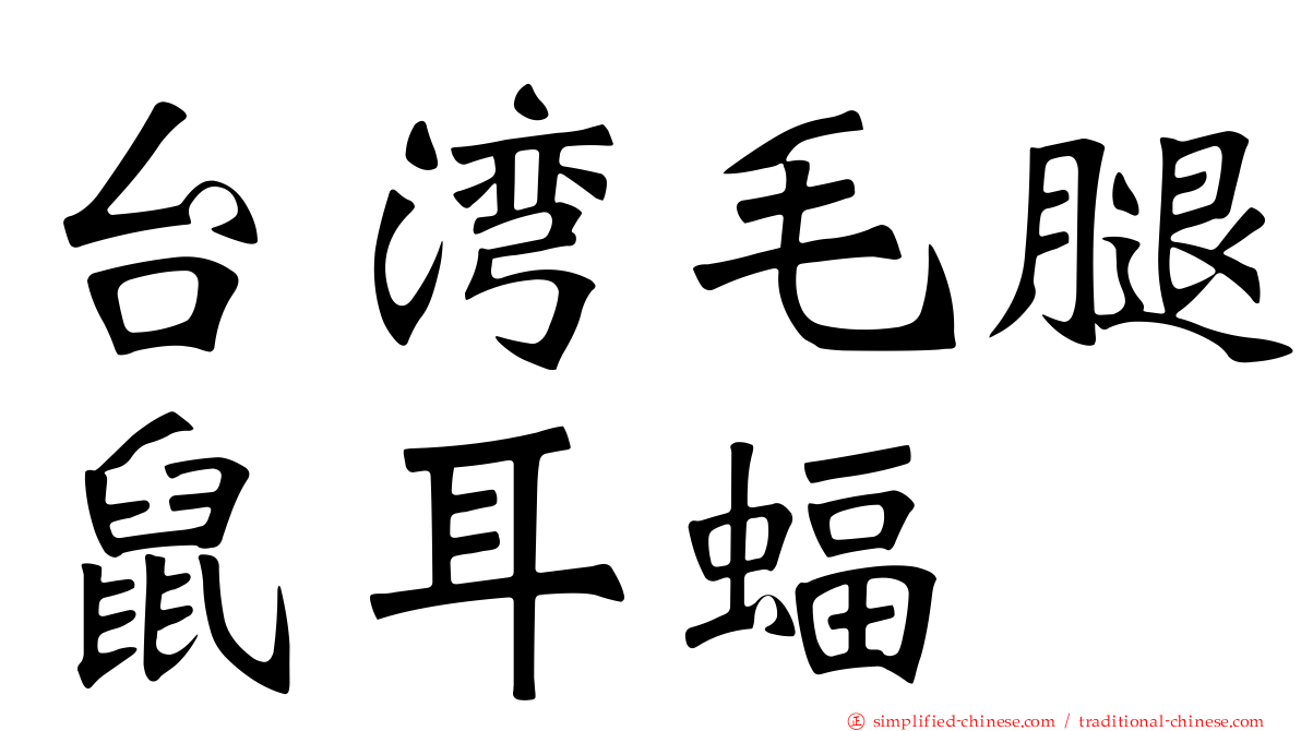 台湾毛腿鼠耳蝠