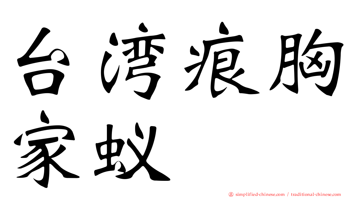 台湾痕胸家蚁