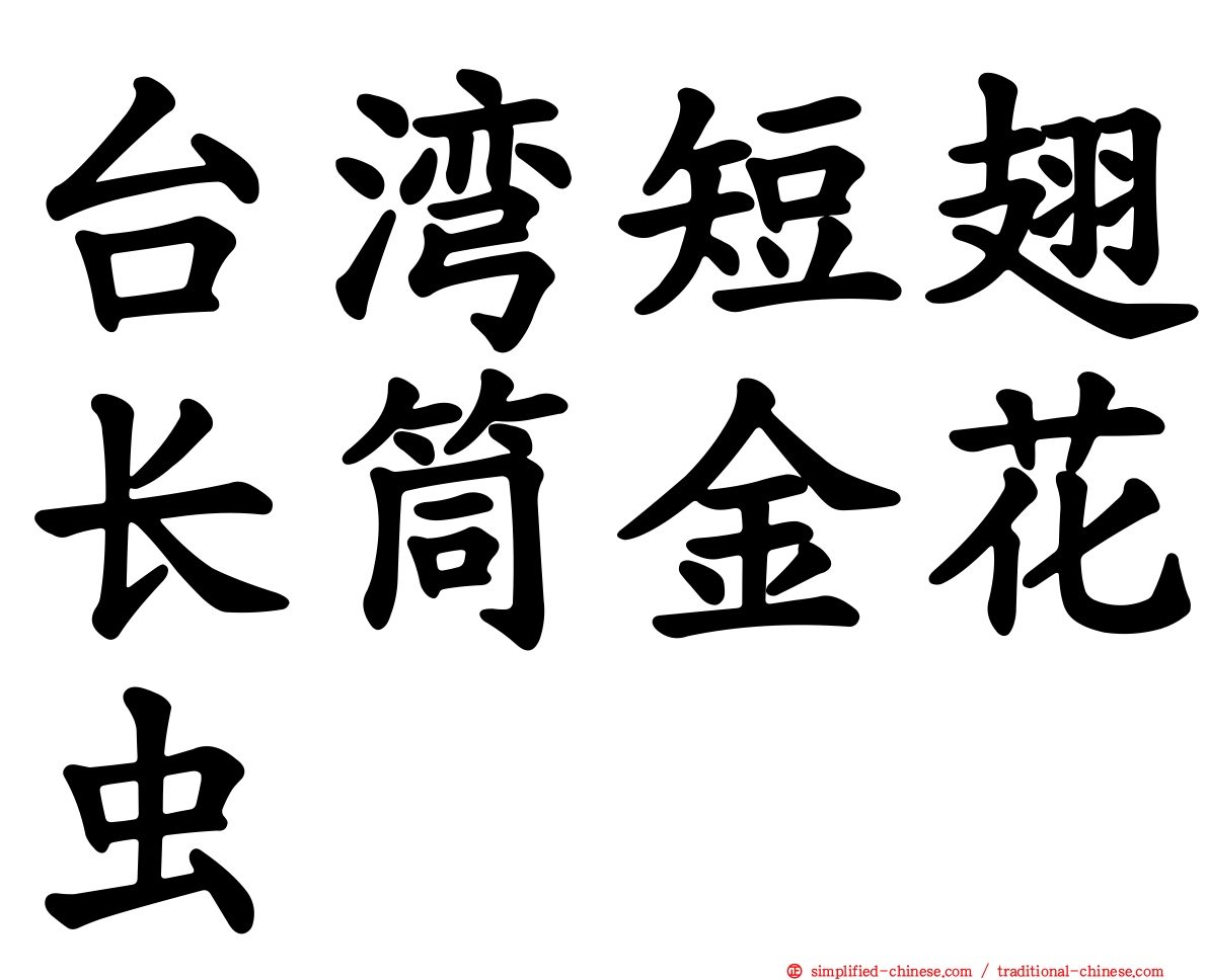 台湾短翅长筒金花虫