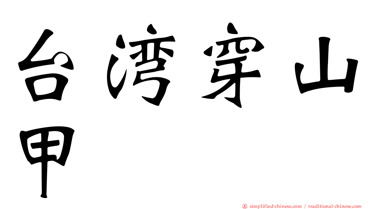 台湾穿山甲