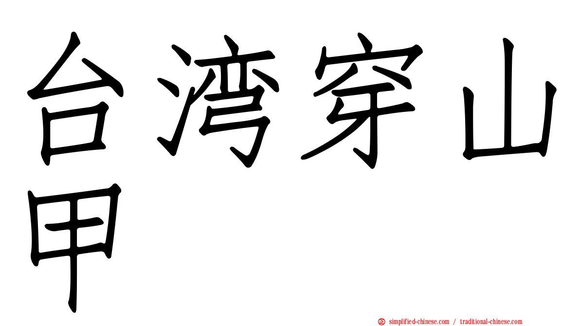 台湾穿山甲