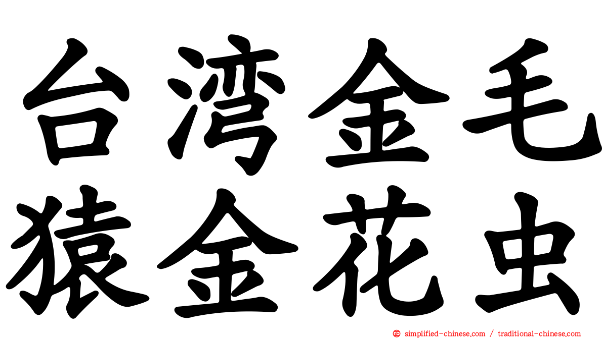 台湾金毛猿金花虫