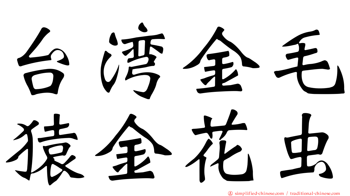台湾金毛猿金花虫