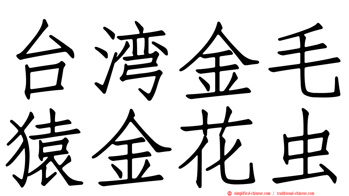 台湾金毛猿金花虫