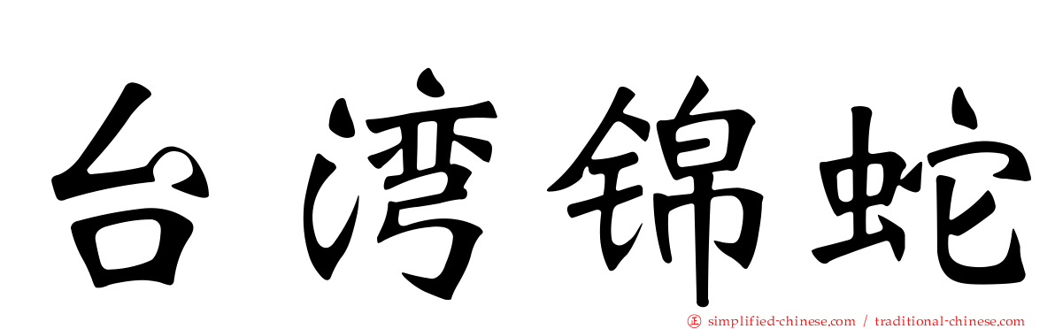 台湾锦蛇