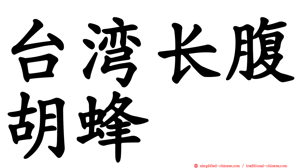 台湾长腹胡蜂