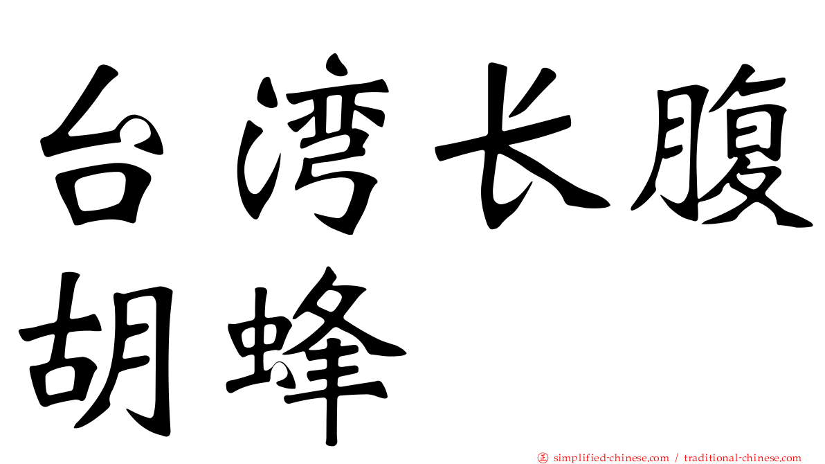 台湾长腹胡蜂