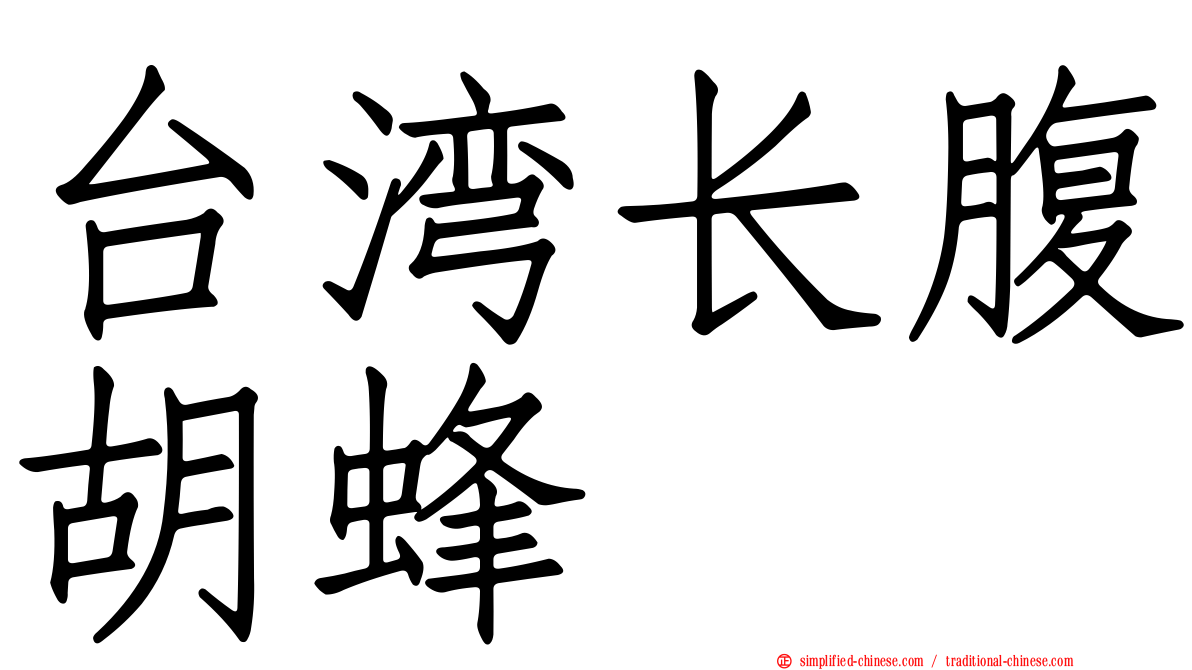 台湾长腹胡蜂