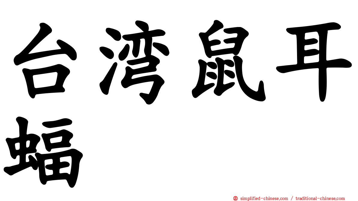 台湾鼠耳蝠