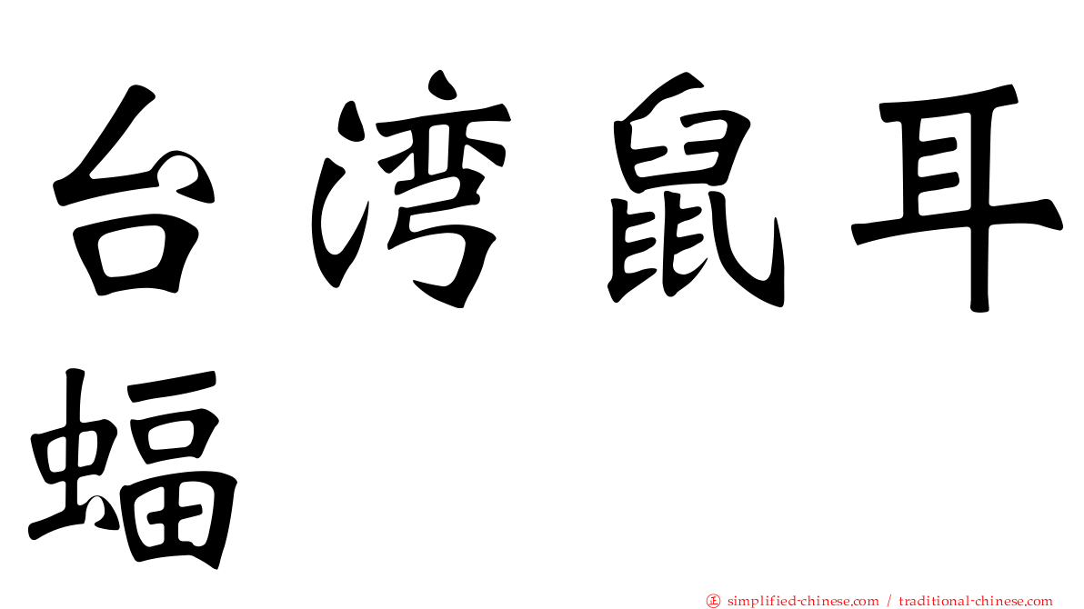 台湾鼠耳蝠