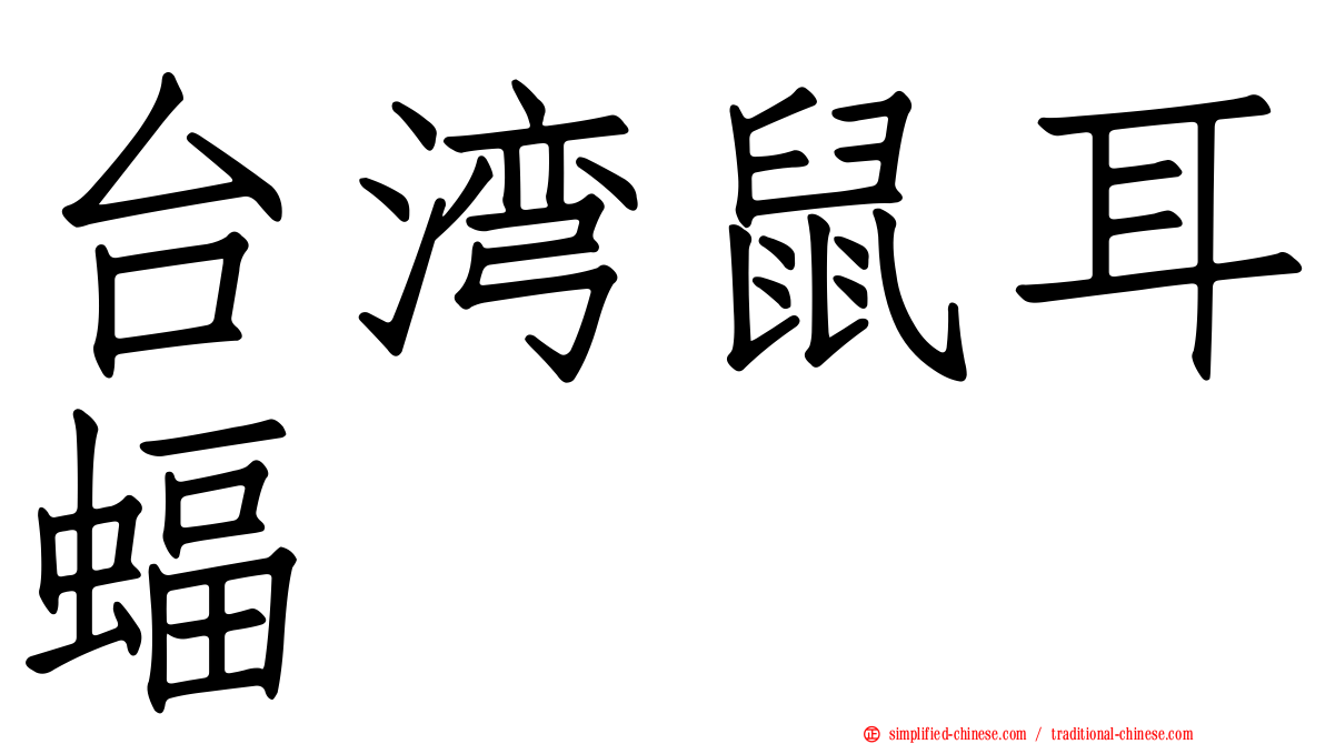 台湾鼠耳蝠