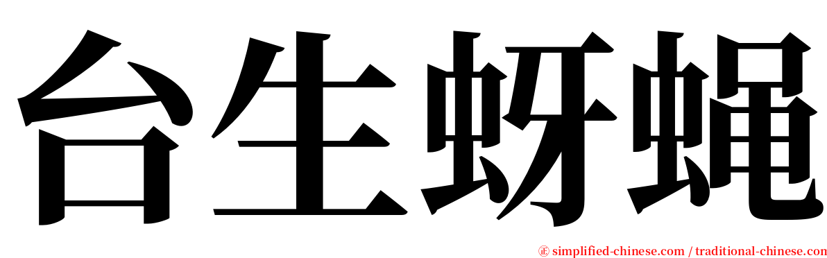 台生蚜蝇 serif font