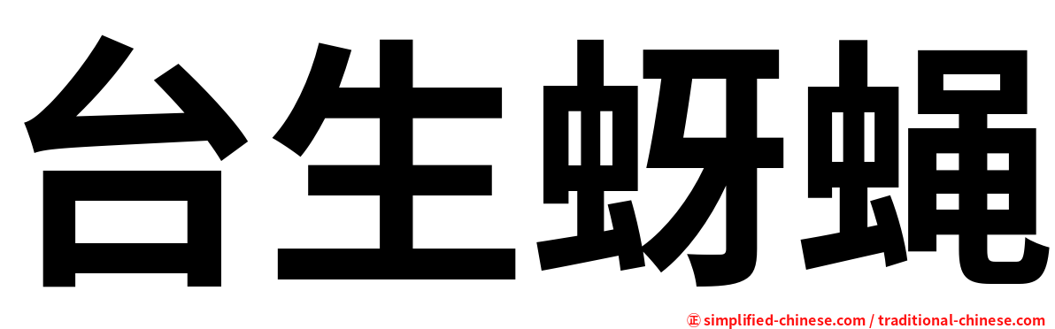 台生蚜蝇