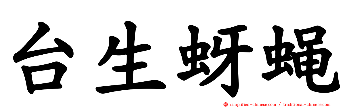 台生蚜蝇