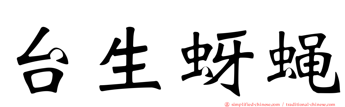 台生蚜蝇
