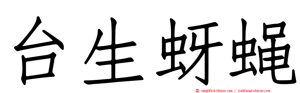 台生蚜蝇