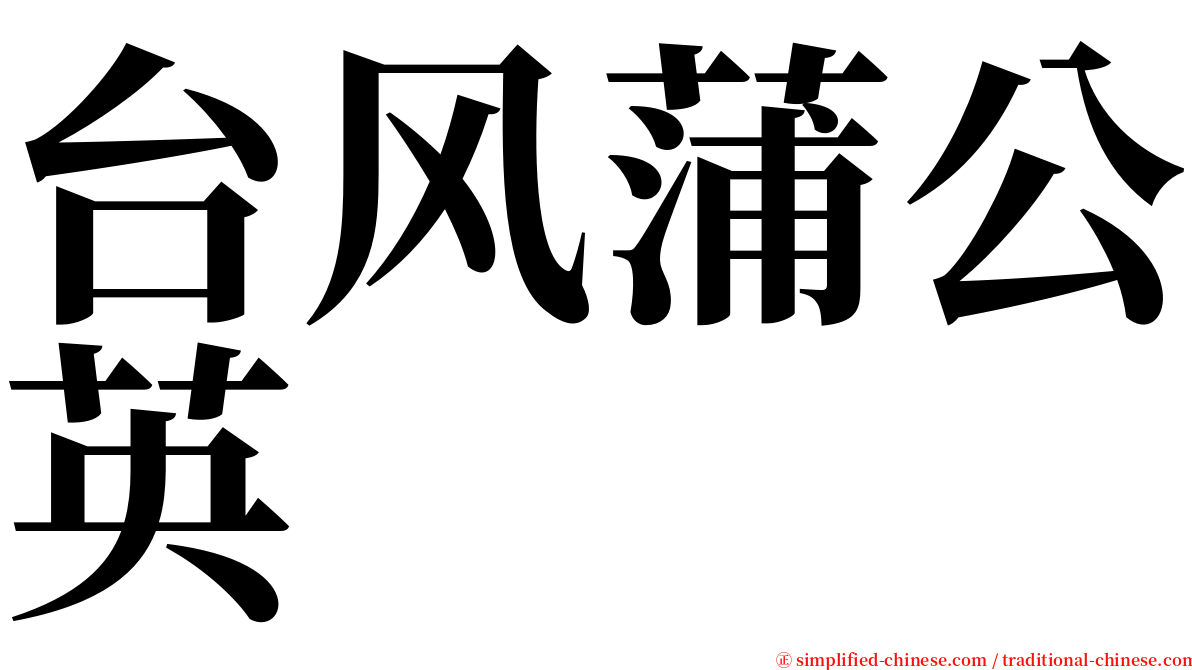 台风蒲公英 serif font