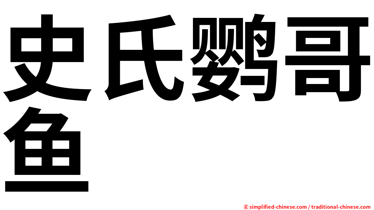 史氏鹦哥鱼