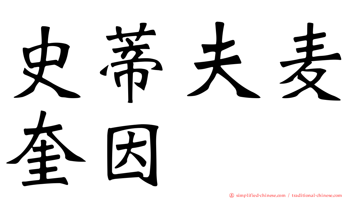 史蒂夫麦奎因