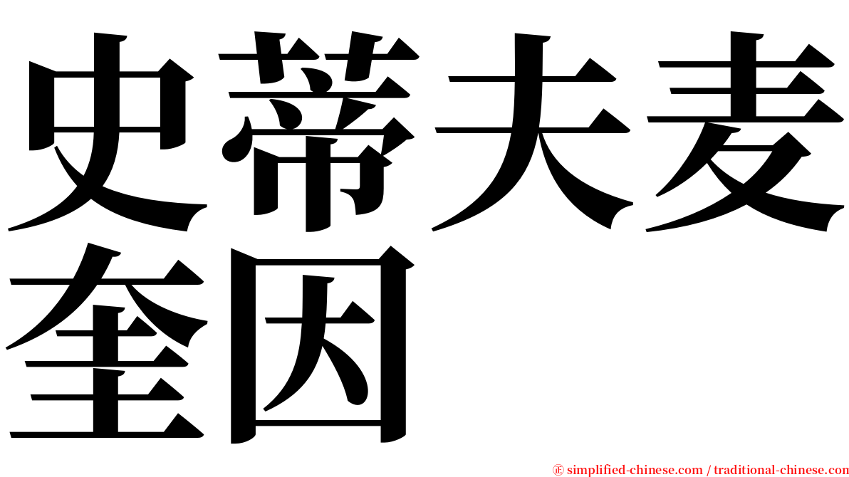 史蒂夫麦奎因 serif font