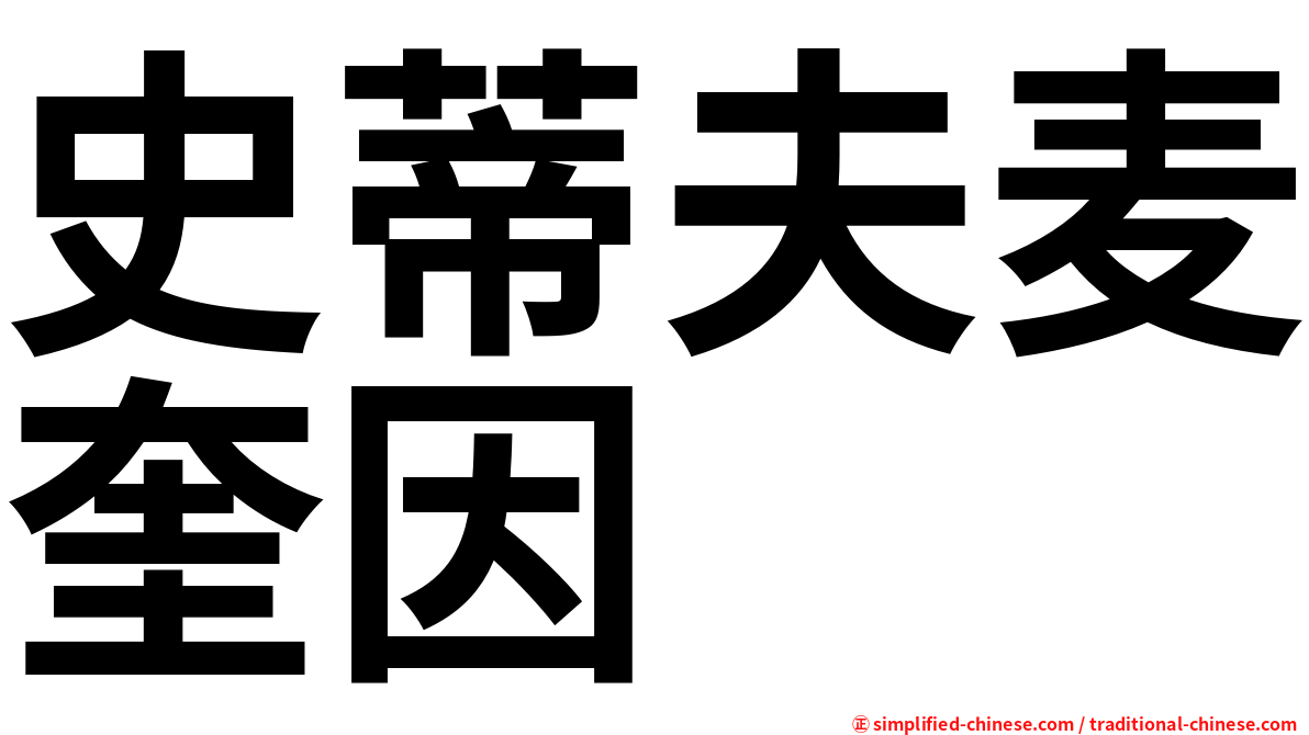 史蒂夫麦奎因