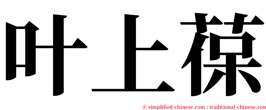 叶上葆 serif font