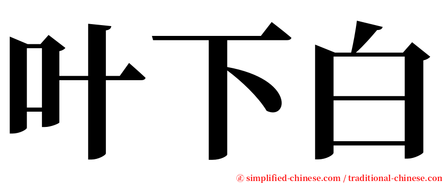 叶下白 serif font