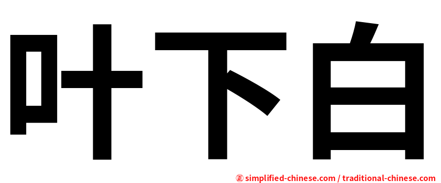叶下白