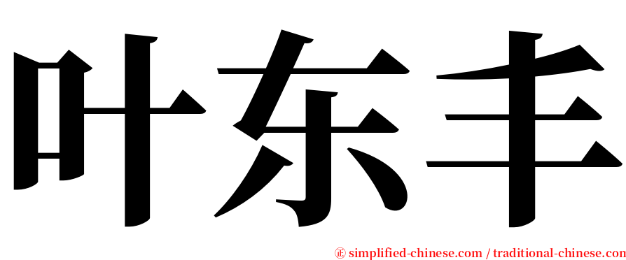 叶东丰 serif font