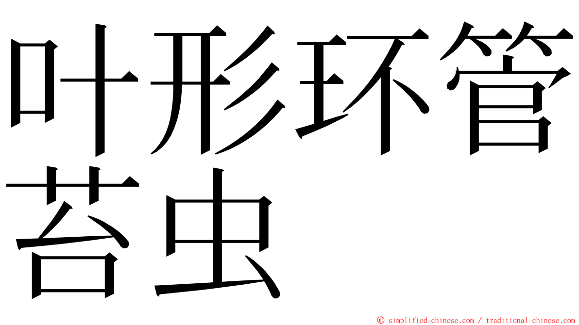 叶形环管苔虫 ming font