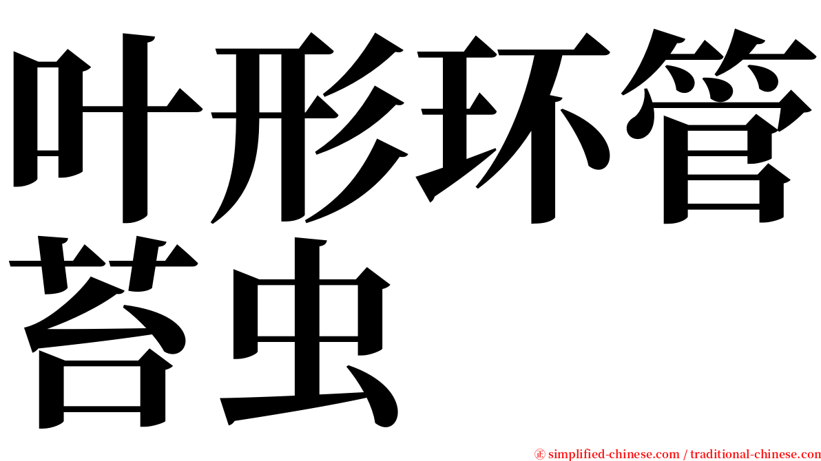 叶形环管苔虫 serif font