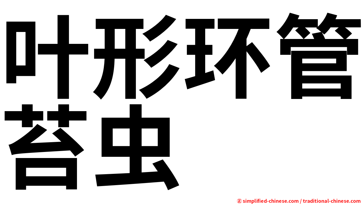 叶形环管苔虫