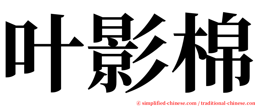 叶影棉 serif font