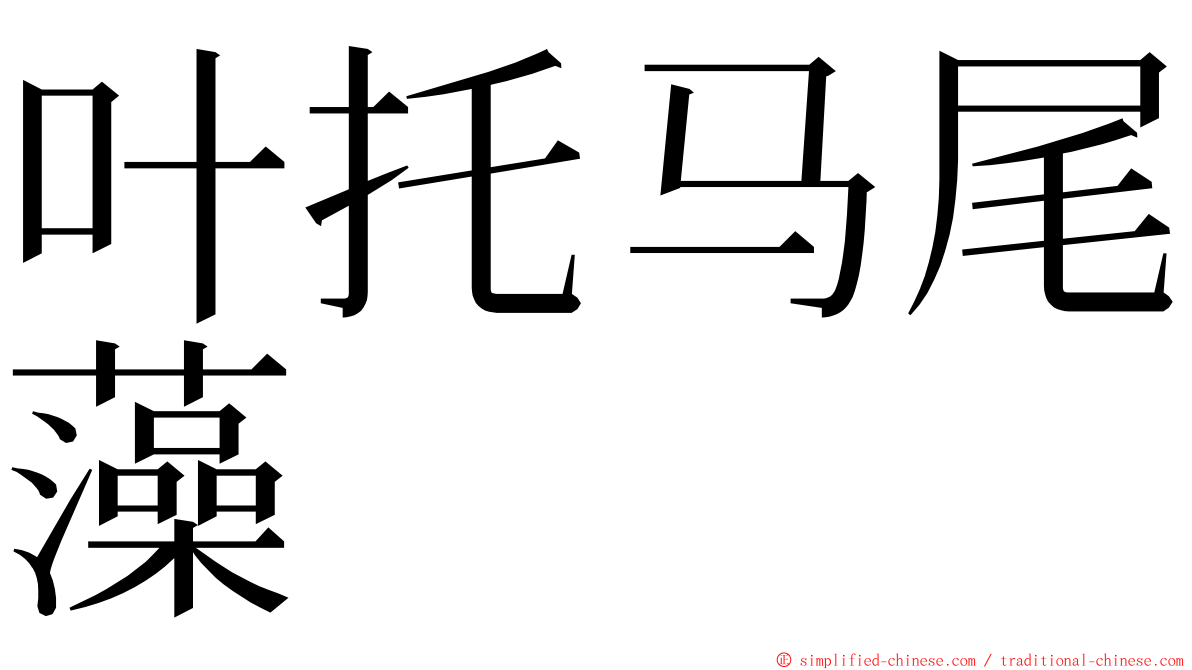 叶托马尾藻 ming font