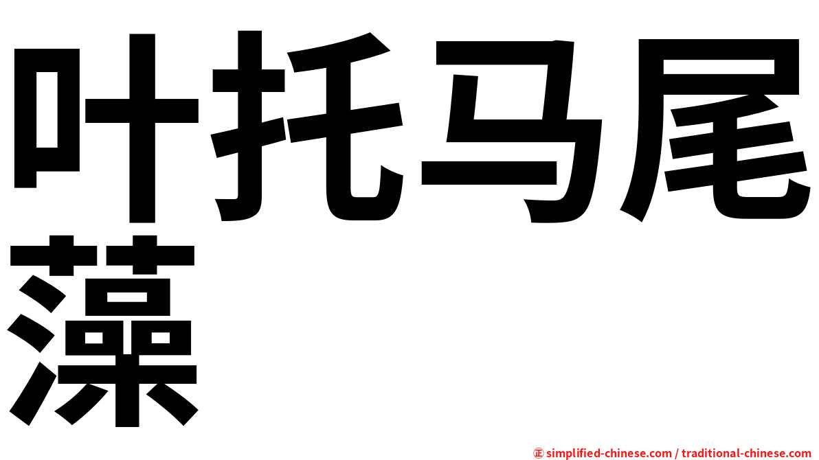 叶托马尾藻