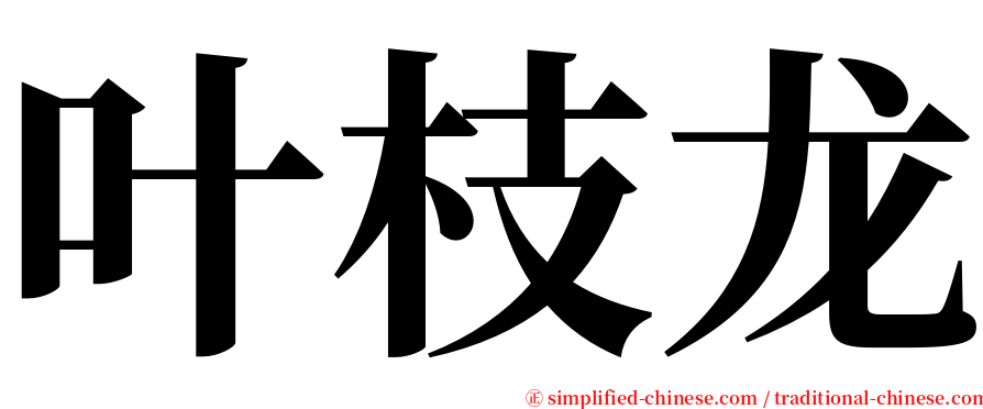 叶枝龙 serif font