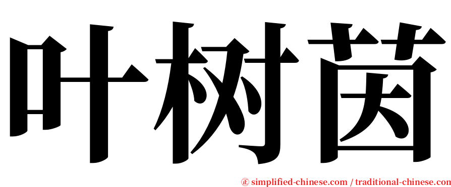 叶树茵 serif font