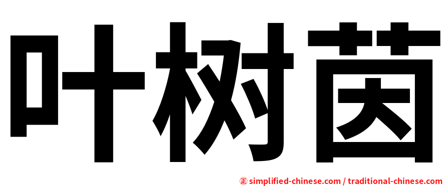 叶树茵