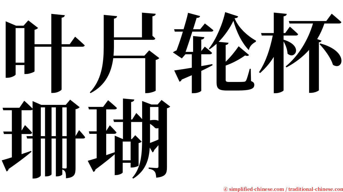 叶片轮杯珊瑚 serif font