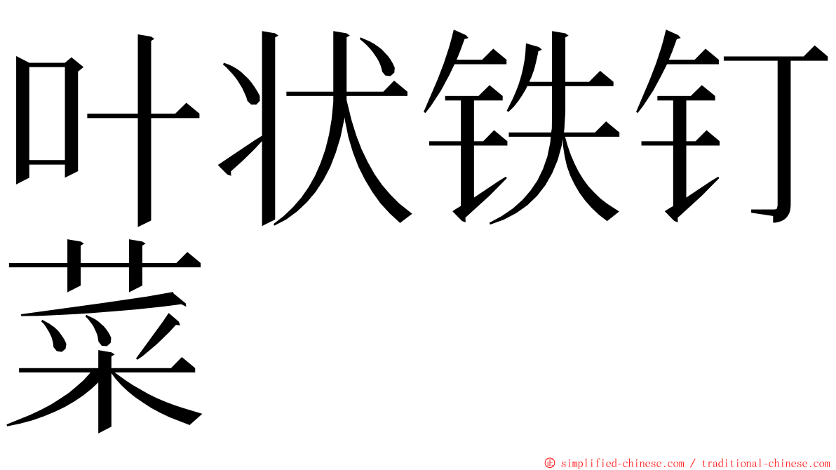 叶状铁钉菜 ming font
