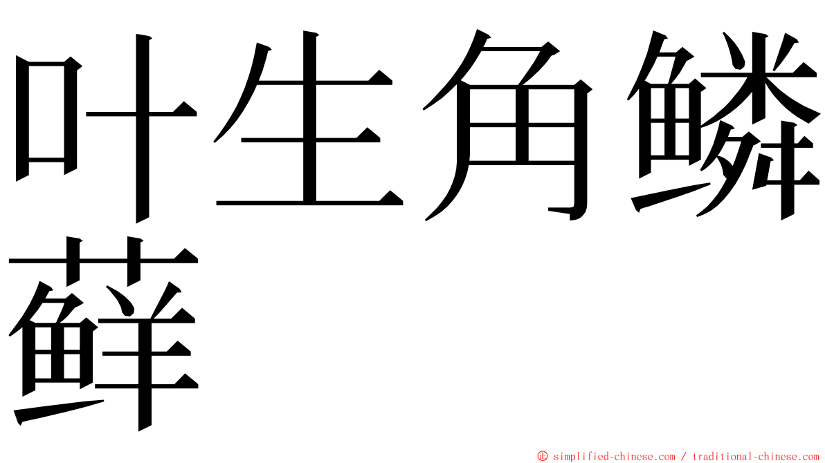 叶生角鳞藓 ming font