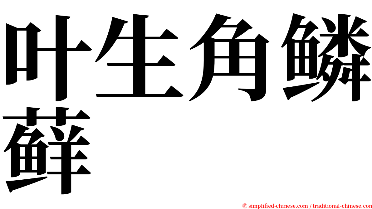 叶生角鳞藓 serif font