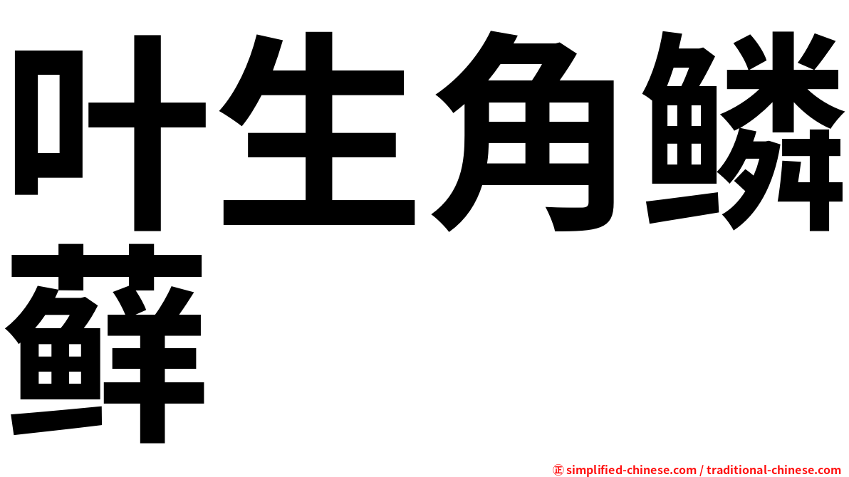 叶生角鳞藓