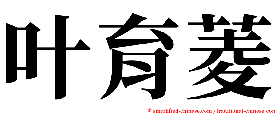 叶育菱 serif font