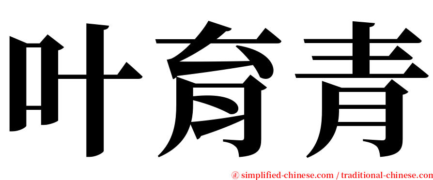 叶育青 serif font