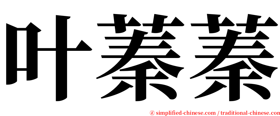 叶蓁蓁 serif font