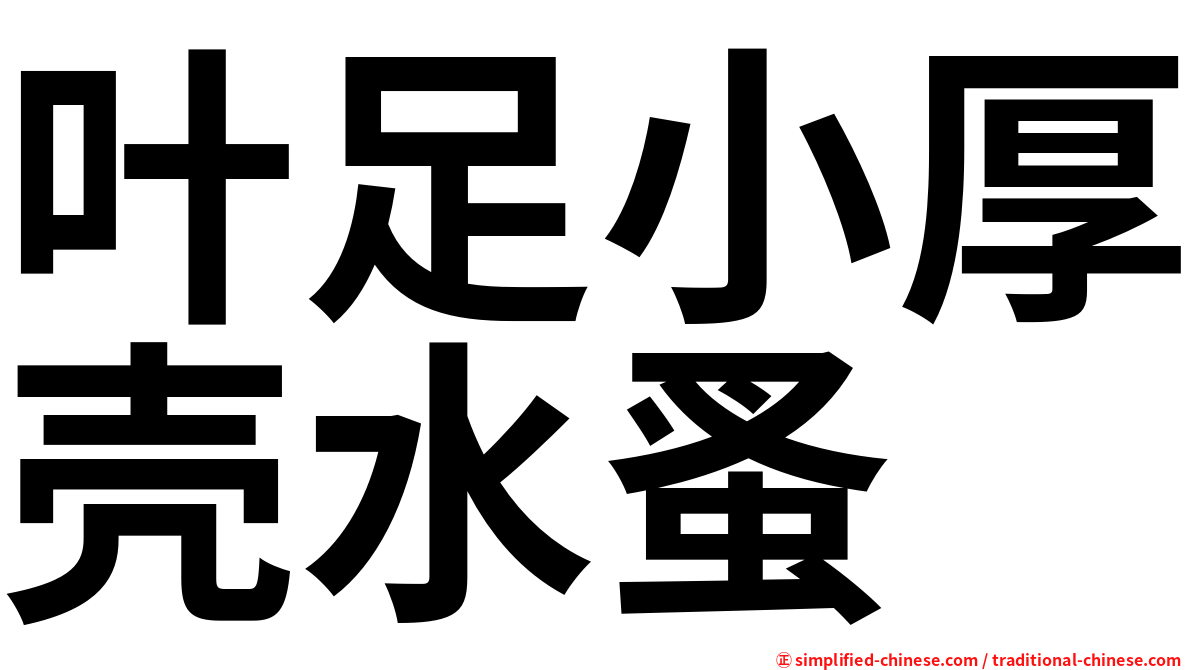 叶足小厚壳水蚤