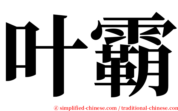 叶霸 serif font