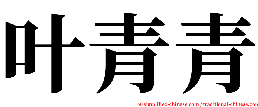叶青青 serif font